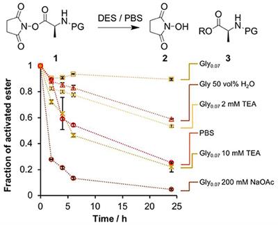 Deep Eutectic Solvents as Media for the Prebiotic DNA-Templated Synthesis of Peptides